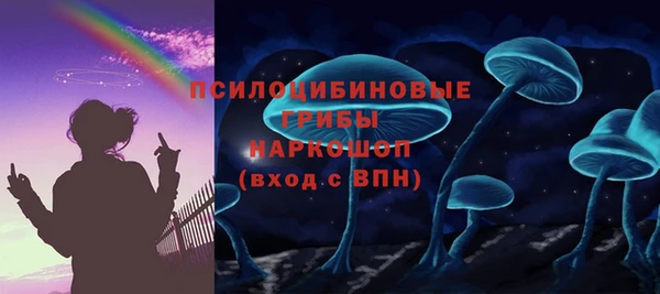 МДПВ Волоколамск