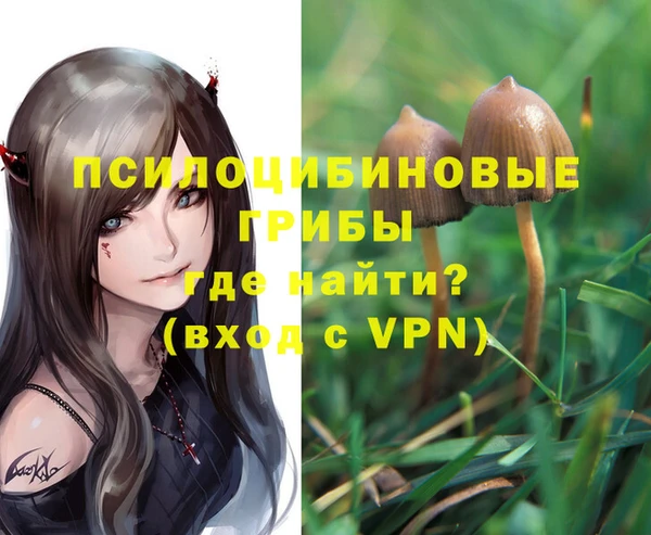COCAINE Верея