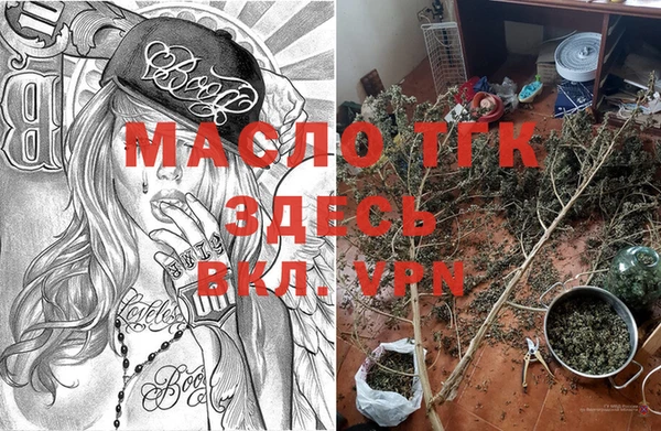 дмт Богданович