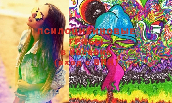 МДПВ Волоколамск