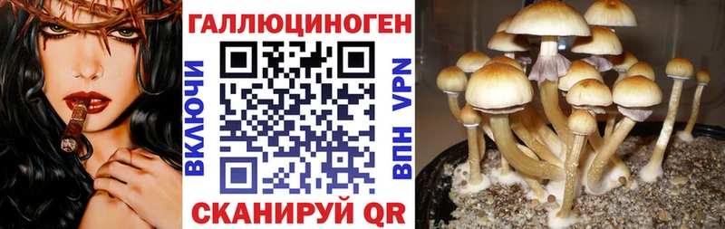 МЕГА ссылка  Змеиногорск  Псилоцибиновые грибы Cubensis  цена наркотик 